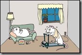 mouse models - exercise cartoon