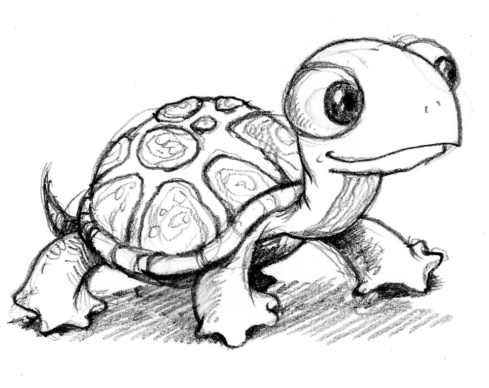 Lovely Small Pets: The Shaped Used to Draw Turtles