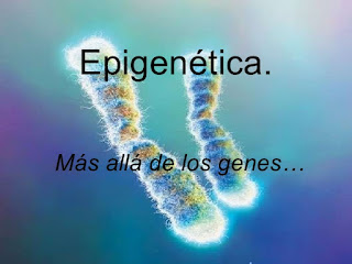 EPIGENÉTICA