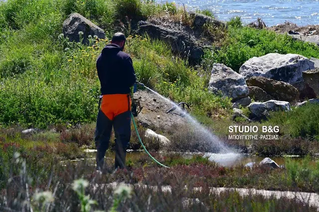 Αδιάκοπη η καταπολέμηση των κουνουπιών στο Δήμο Ναυπλιέων