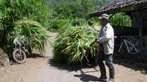 #GowesJelajah Coban Rondo 30 Juli 2011