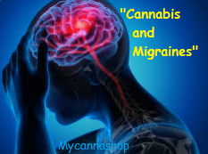 Studies on Cannabis and Migrains, Mycannashop