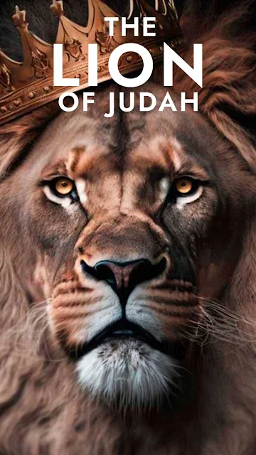 The  Lion Of Judah iPhone Wallpaper