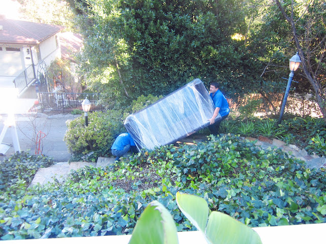 two men moving a couch, wrapped in plastic, down a flight of flagstone stairs surrounded by ivy