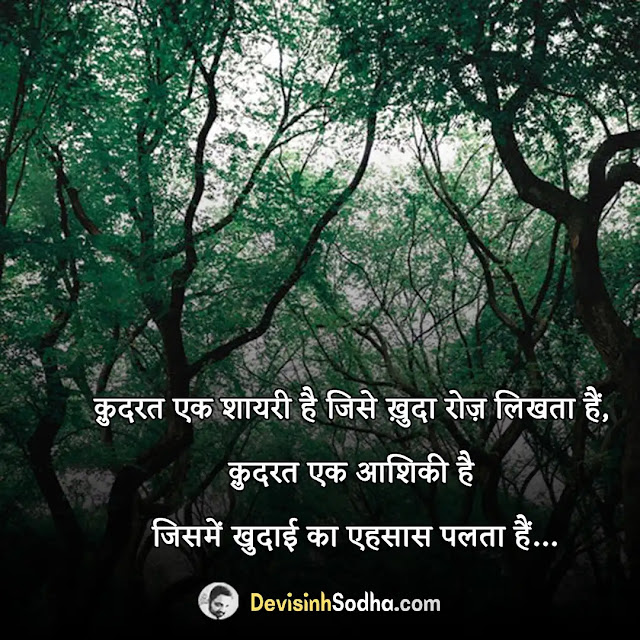 nature shayari in hindi, nature shayari in hindi for instagram, nature shayari in hindi 2 line, romantic nature shayari in hindi, nature lover shayari in hindi, प्रकृति पर शायरी दो लाइन in hindi, खूबसूरत नजारा पर शायरी, सौंदर्य शायरी, हरियाली शायरी इन हिंदी, पहाड़ों वाली शायरी, सावन की हरियाली पर शायरी, पहाड़ की वादियां शायरी