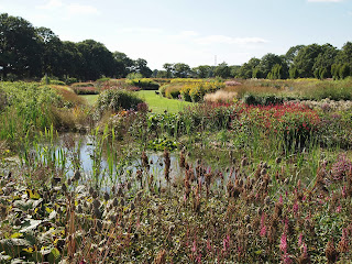 Sussex Prairies Garden. Amazing flowers and good example of garden design. The pond is surrounded by colourful flowers and pond plants