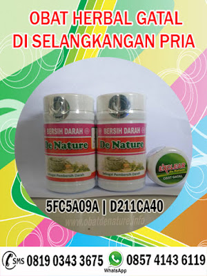 OBAT HERBAL GATAL DI SELANGKANGAN PRIA