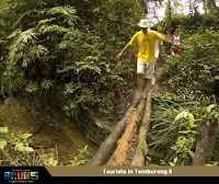 nature of temburong brunei