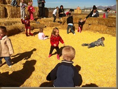 pumpkinpatch4