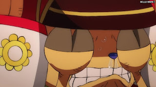 ワンピース アニメ 1070話 チョッパー Tony Tony Chopper | ONE PIECE Episode 1070