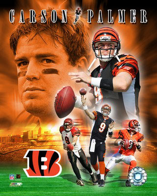 Carson Palmer