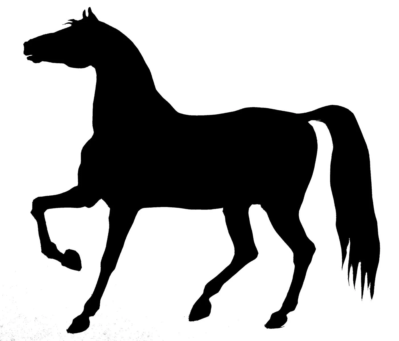 saraccino Horse silhouette / stencil...