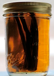 Vanilla beans in vodka and ball canning jar