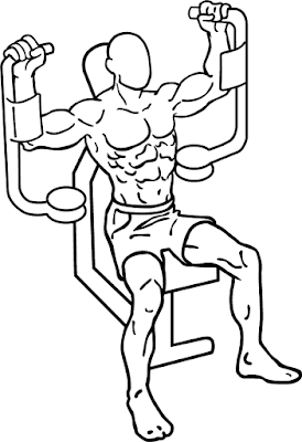 Chest Fly exercise for wider chest