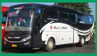 Nomor Telepon Agen Bus Muji Jaya (MJCM)