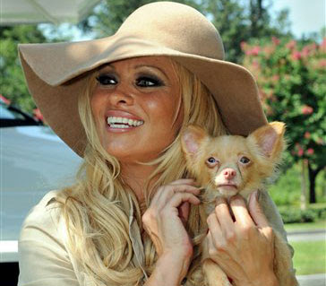 Pamela Anderson Is a Dog Saver Seen On www.coolpicturegallery.us