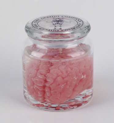 Brain Candle3