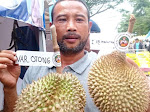 Petani Di Lebak Sukses Kembangkan Durian Sangkanwangi I