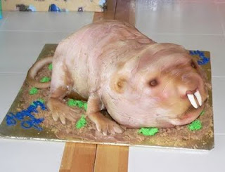 Funny Naked Mole Rat