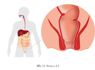 Các tìm kiếm liên quan đến nabelbruch baby, baby nabelbruch + blähungen, nabelbruch baby pflaster, baby nabel steht raus, nabelbruch baby operation, nabelbruch baby tapen, nabelbruch kleinkind, wie sieht ein nabelbruch aus?, nabelbruch baby blau