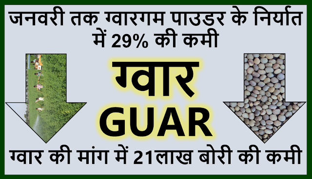 ग्वार गम पाउडर के निर्यात में  इस वर्ष जनवरी तक 29% की कमीl Guar, guar gum, guar price, guar gum price, guar demand, guar gum demand, guar seed production, guar seed stock, guar seed consumption, guar gum cultivation, guar gum cultivation in india, Guar gum farming, guar gum export from india , guar seed export, guar gum export, guar gum farming, guar gum cultivation consultancy, today guar price, today guar gum price, ग्वार, ग्वार गम, ग्वार मांग, ग्वार गम निर्यात 2018-2019, ग्वार गम निर्यात -2019, ग्वार उत्पादन, ग्वार कीमत, ग्वार गम मांग, Guar Gum, Guar seed, guar , guar gum, guar gum export from india, guar gum export to USA, guar demand USA, guar future price, guar future demand, guar production 2019, guar gum demand 2019