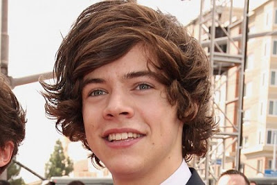 HARRY STYLES HAIRSTYLE