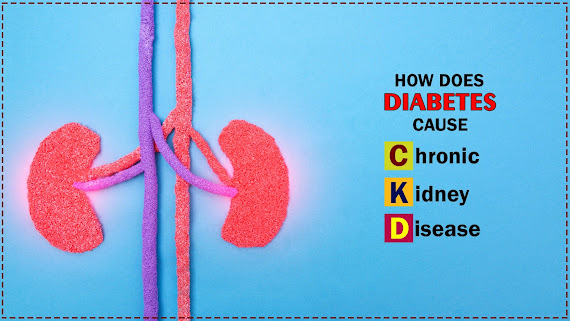 How does Diabetes cause Chronic Kidney Disease