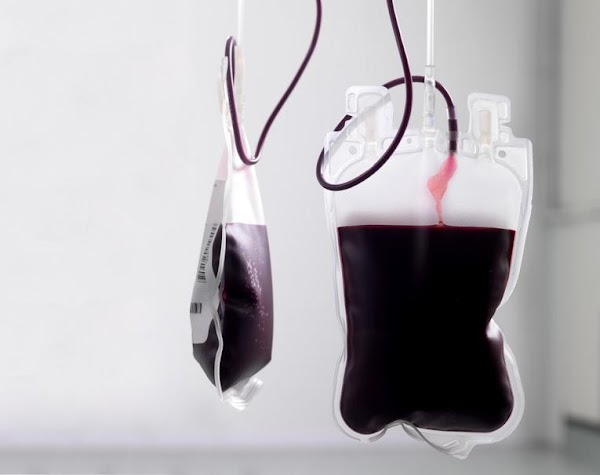 Two genetic techniques show good results to treat blood diseases