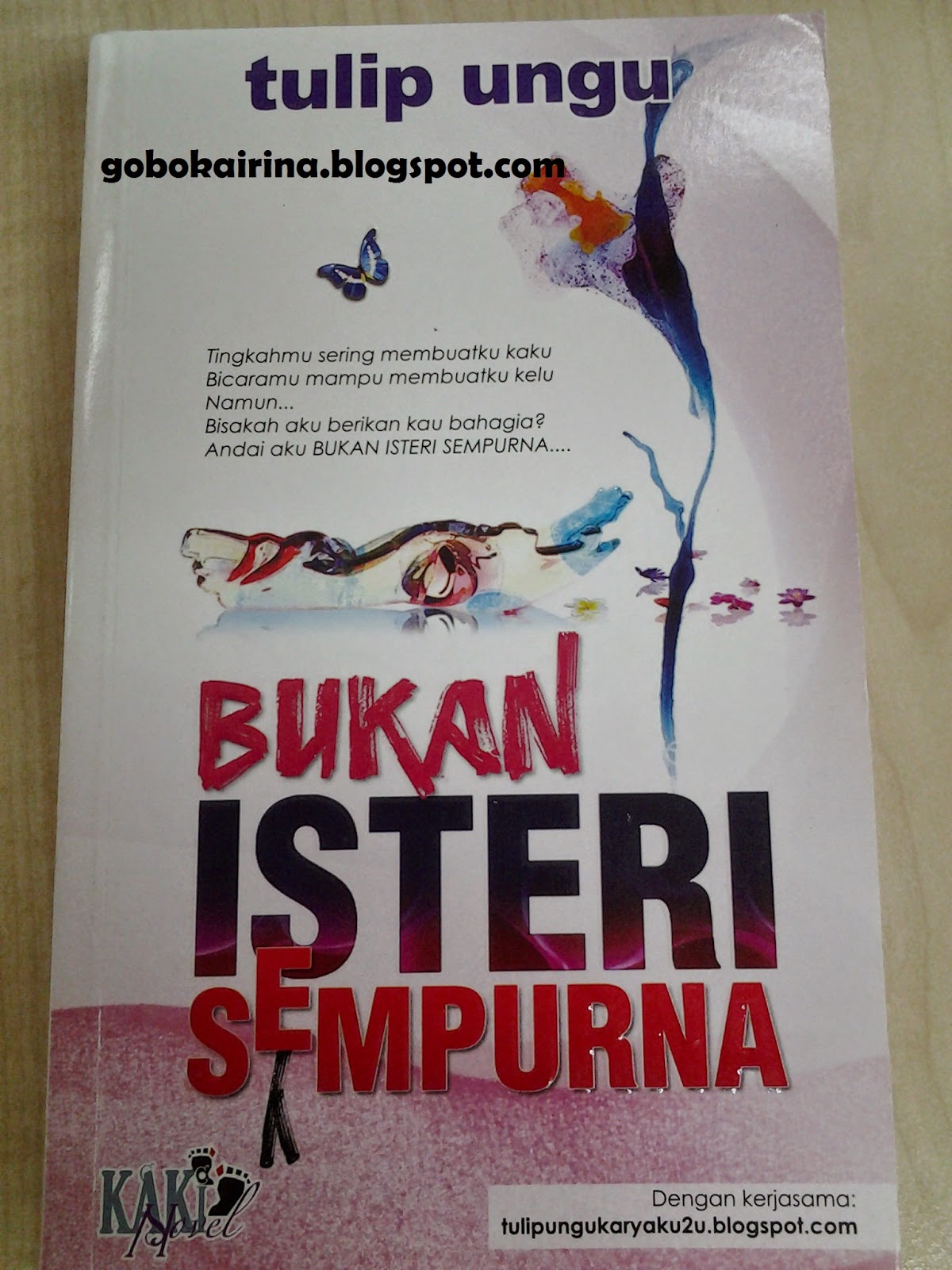 Bukan Isteri Sempurna - ~ Aku & Novel