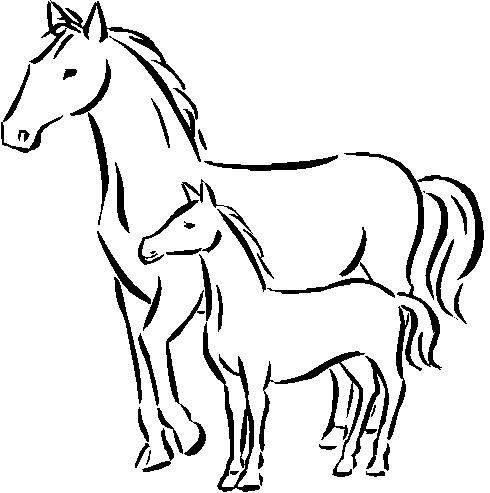 Tinkerbell Coloring on Horse Animal Free Printable Coloring Pages