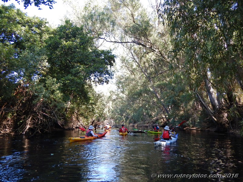 Kayak río Palmones