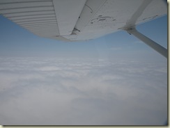 P5293751