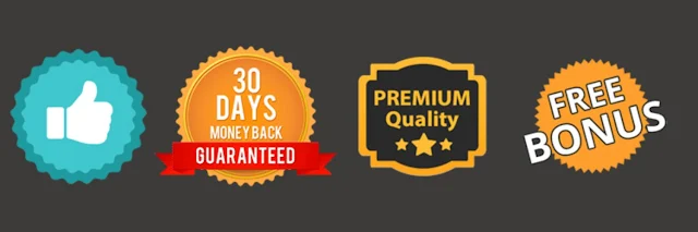 BizMails Review