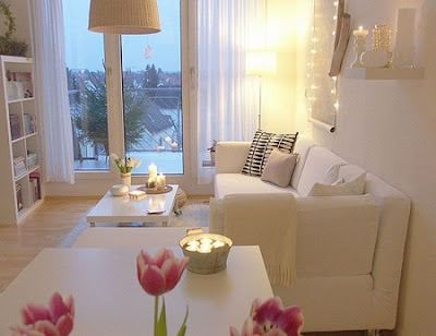 Modern Living Room Decorating Ideas 2013