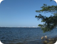 Afbeelding 047