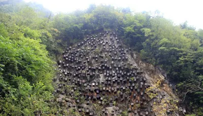 In China, built a skyscraper for bees Planet-Today.com