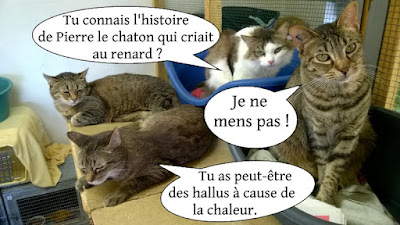 Quatre chats et remake de Pierre et le loup.