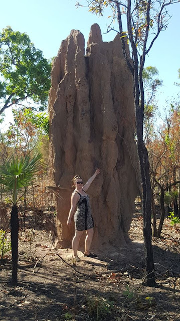 Gigantic Termite Mounts found in the Northern Territory