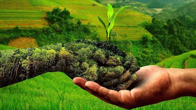 Zero budget Natural Farming Definition, Benefits and full information in hindi