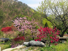 Autumn in Korea 