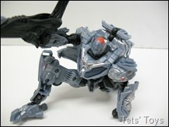 Transcanning Optimus