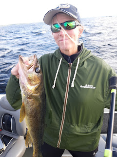 rainy lake walleye