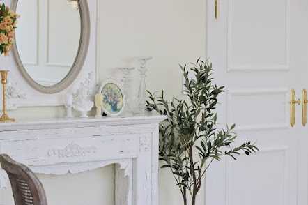 un miroir et une plante d’intérieur dans le salon