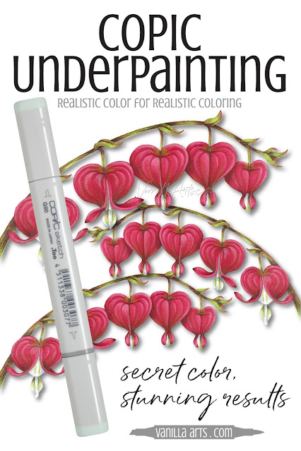 Amy from VanillaArts.com helps you add realism to Copic Marker blends by underpainting with complementary colors. Pale green marker creates natural looking shade underneath magenta markers for a beautiful Bleeding Hearts flowers. | PowerPoppy.com | #copicmarker #realisticcoloring #underpainting