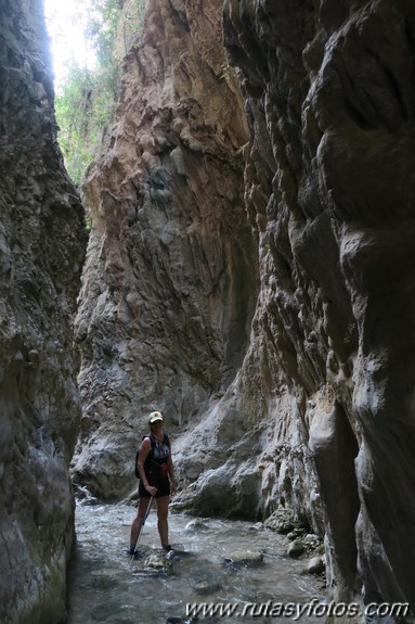 Sierra de Enmedio - Cruz del Pinto - Río Chíllar