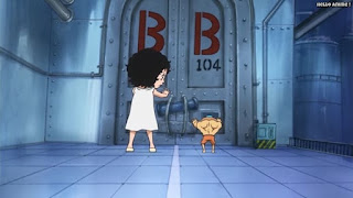 ワンピースアニメ パンクハザード編 614話 | ONE PIECE Episode 614