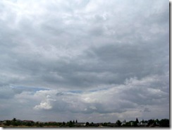IMG_0050