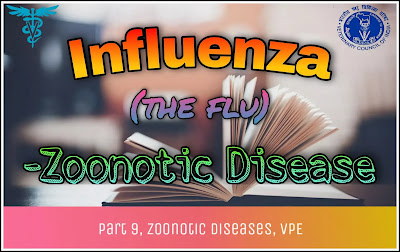 Influenza or Flu.