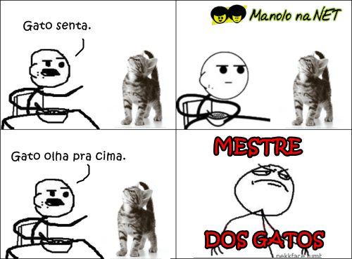 mestre dos gatos