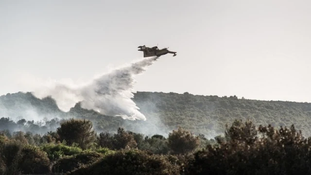 Δασική πυρκαγιά στη Μεσσηνία